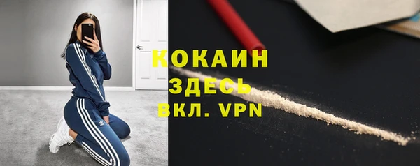 твердый Павлово