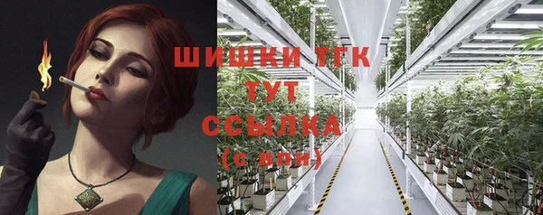 соль ск Сясьстрой