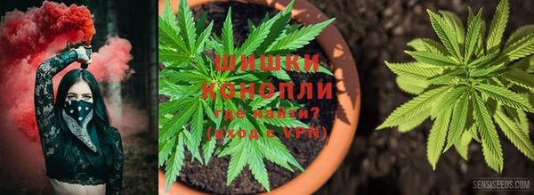 кокс Тайга
