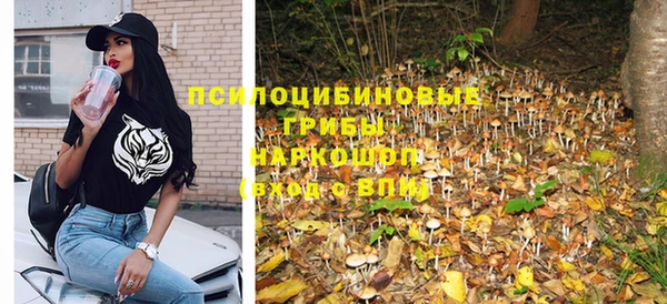 кокс Тайга