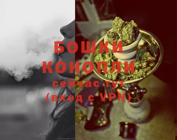 кокс Тайга