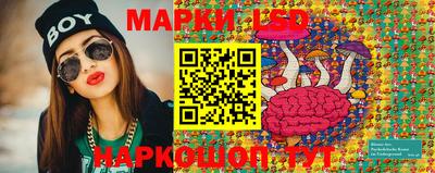 дмт Нальчик