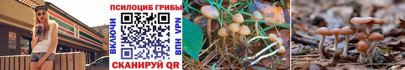 Галлюциногенные грибы Cubensis  наркотики  Евпатория 