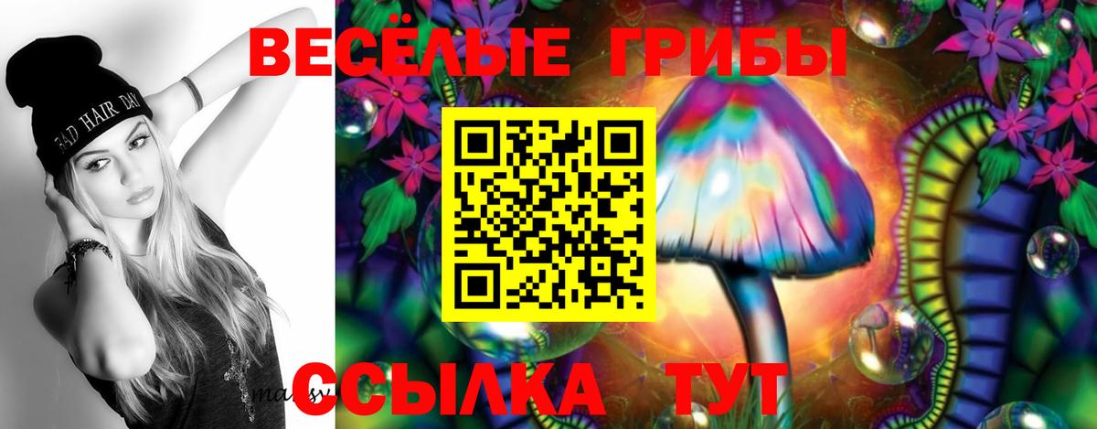 Псилоцибиновые грибы ЛСД  Вход с VPN  Галлюциногенные грибы прущие грибы  Евпатория 