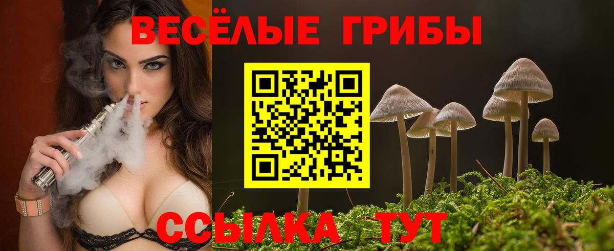 Псилоцибиновые грибы мицелий Евпатория